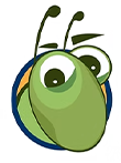 bug